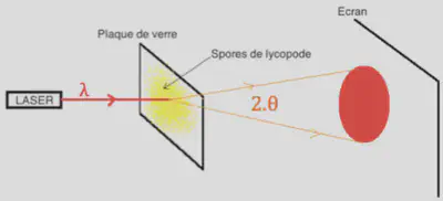 Schéma du montage expérimental pour déterminer la taille des spores.